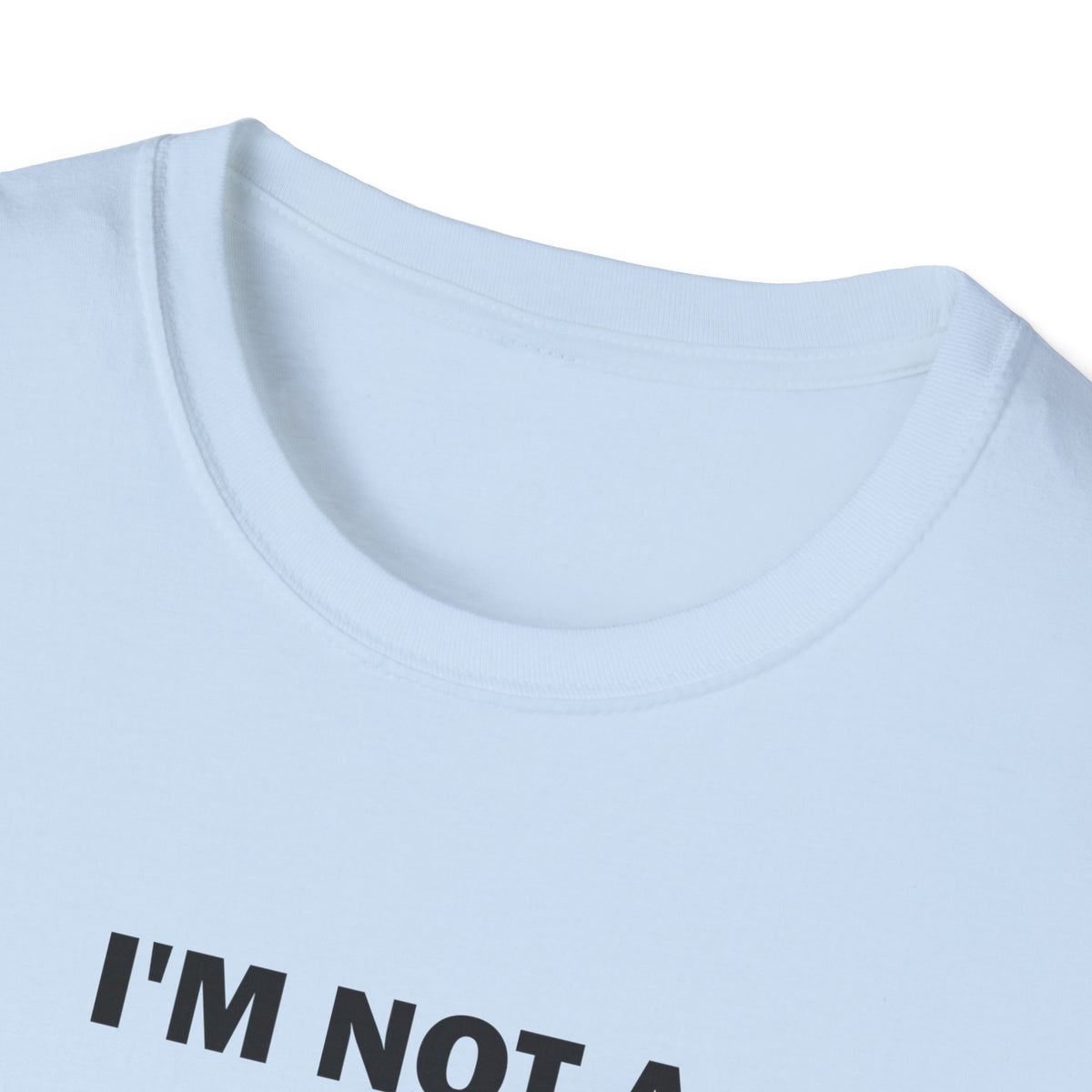 I'm Not a Red Flag I'm the Whole Parade Funny T-Shirt