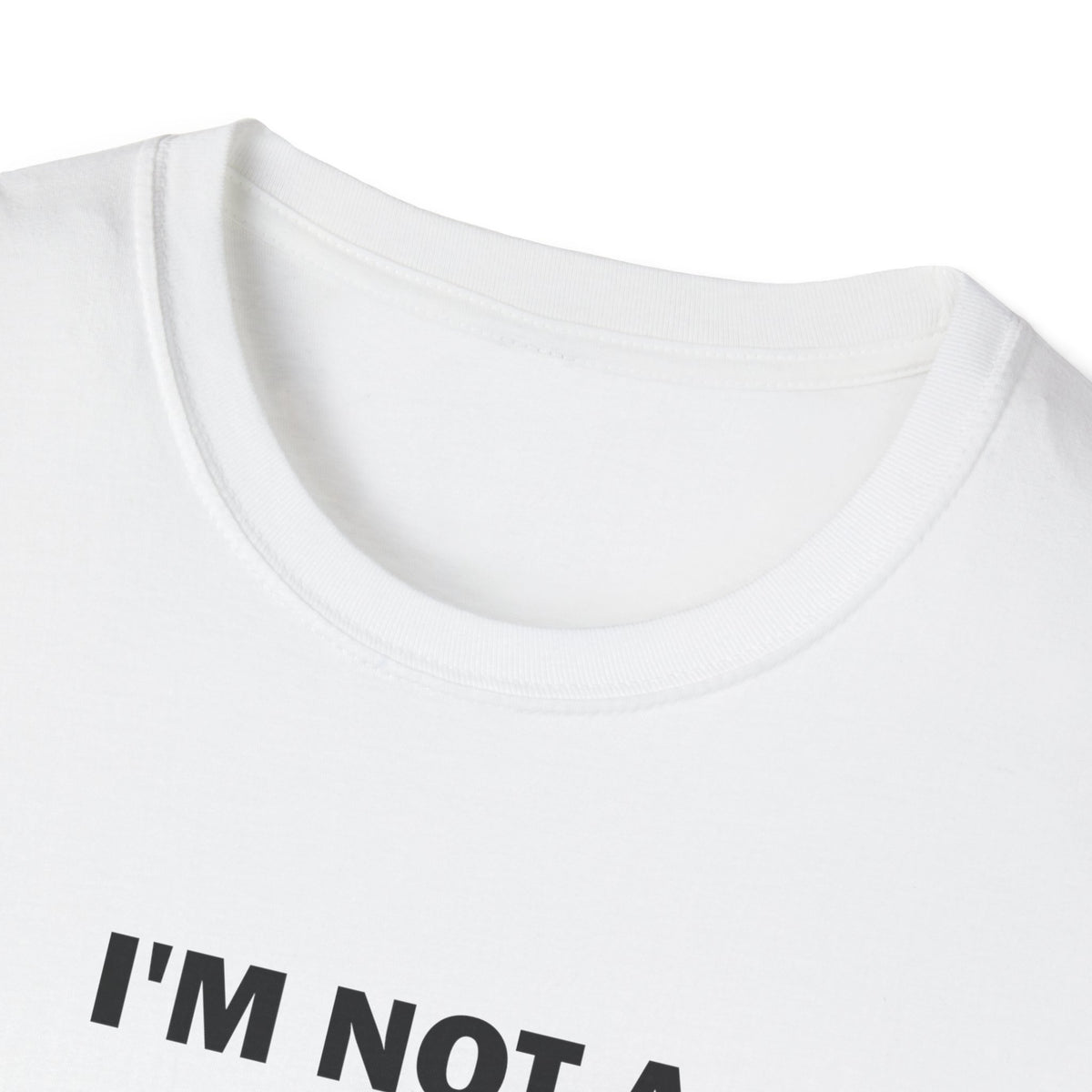 I'm Not a Red Flag I'm the Whole Parade Funny T-Shirt