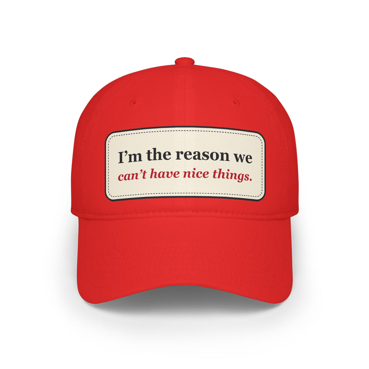 I’m the Reason We Can’t Have Nice Things Funny Low Profile Cap