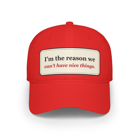 I’m the Reason We Can’t Have Nice Things Funny Low Profile Cap