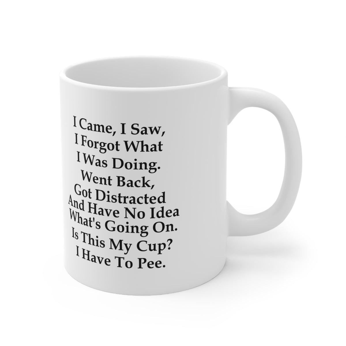 I Came, I Saw, I Forgot What I Was Doing Funny Coffee Mug