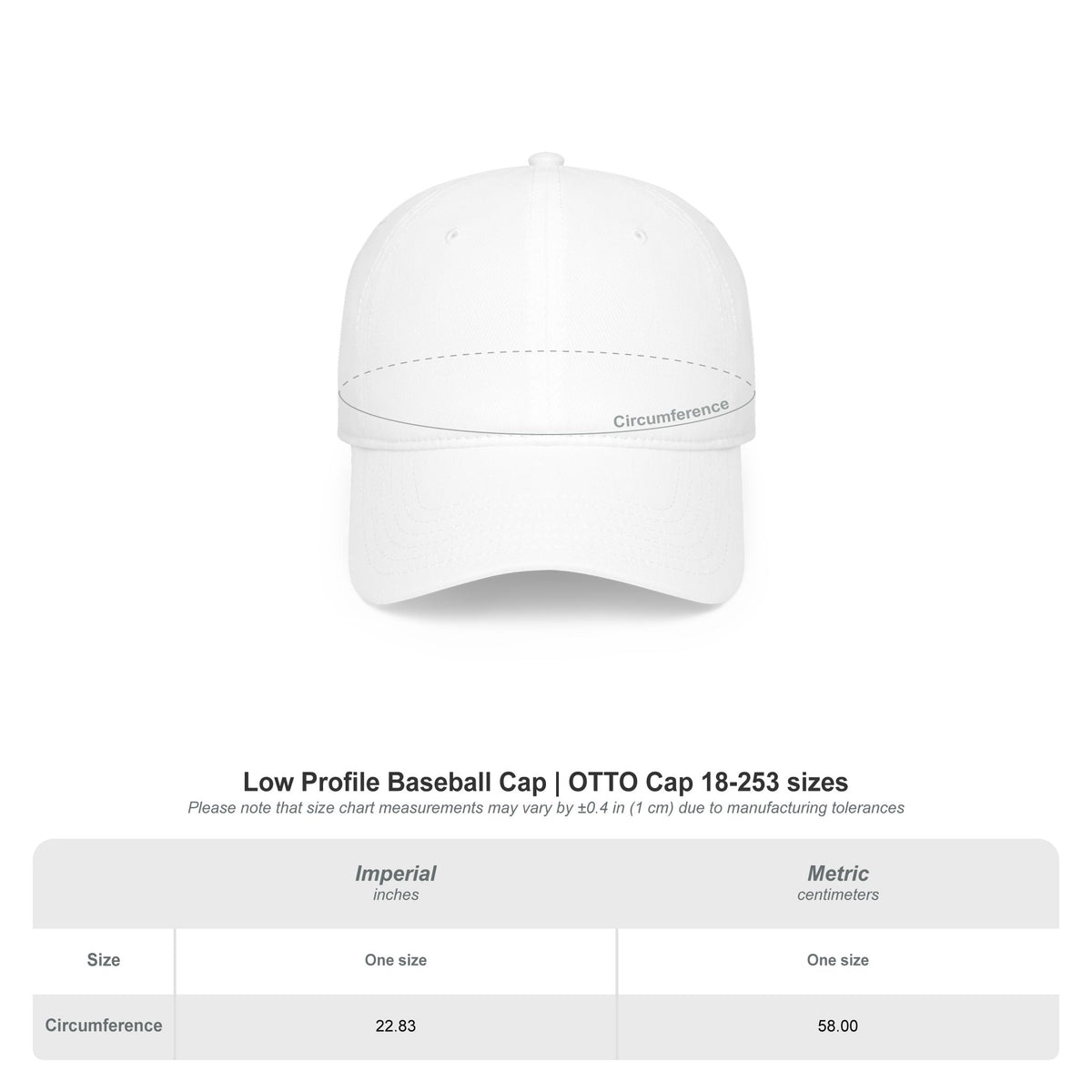 Ask Me About My Bad Decisions Funny Low Profile Cap