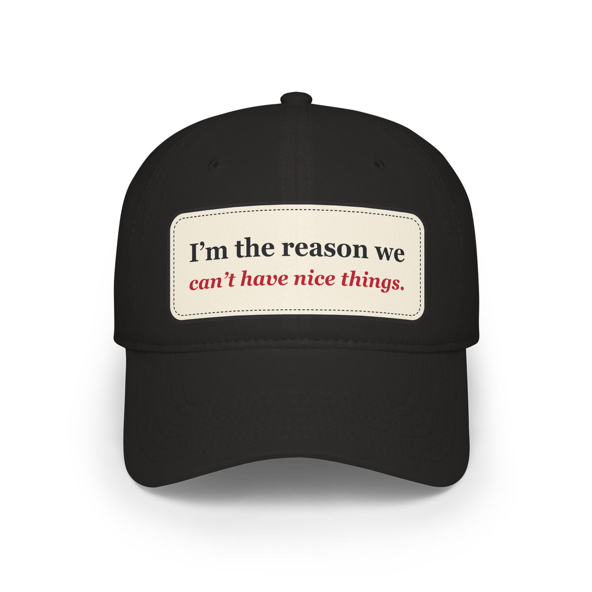 I’m the Reason We Can’t Have Nice Things Funny Low Profile Cap