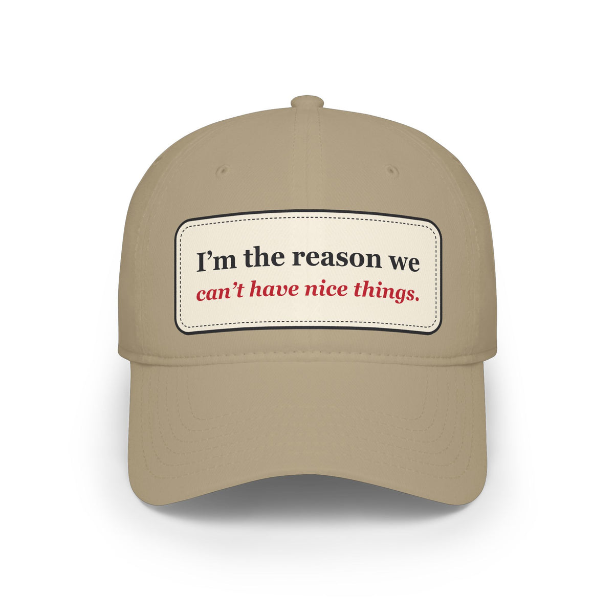 I’m the Reason We Can’t Have Nice Things Funny Low Profile Cap