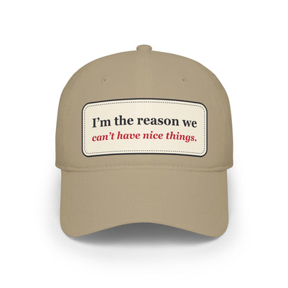 I’m the Reason We Can’t Have Nice Things Funny Low Profile Cap