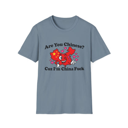 Are You Chinese? Icebreaker Tee