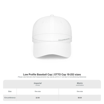 I’m the Reason We Can’t Have Nice Things Funny Low Profile Cap