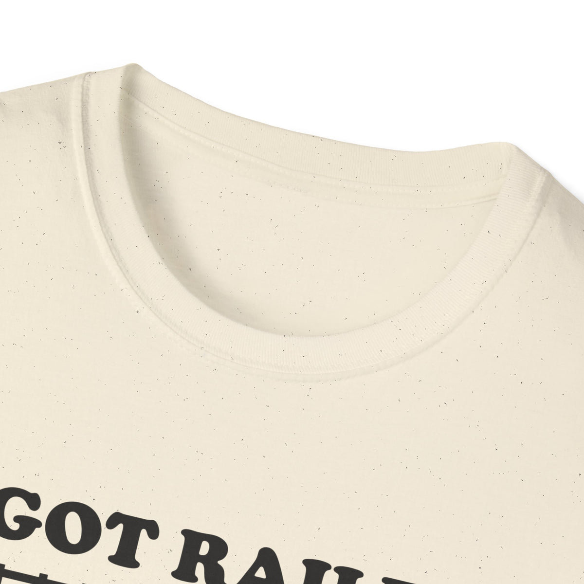 I Got Railed at the Train Museum Funny Train T-Shirt