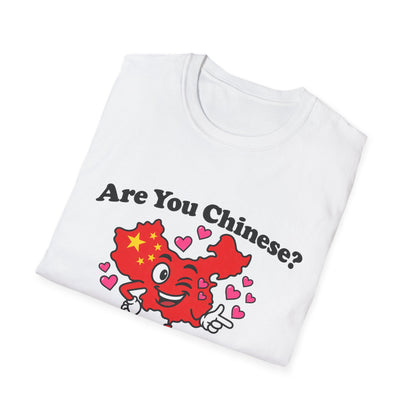 Are You Chinese? Icebreaker Tee