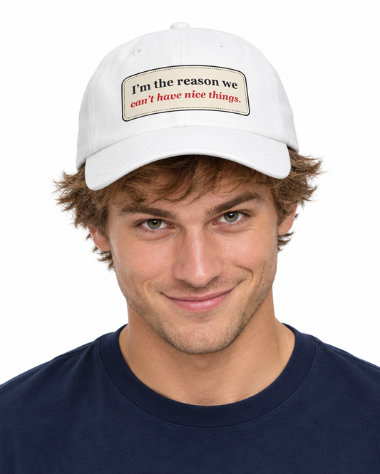 I’m the Reason We Can’t Have Nice Things Funny Low Profile Cap