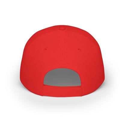 Professional Overthinker Amateur Everything Else Funny Low Profile Cap