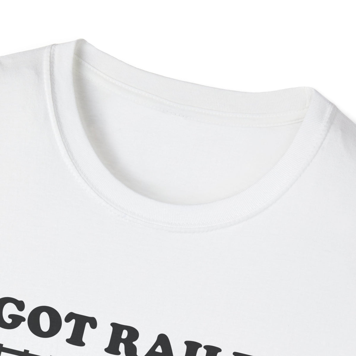 I Got Railed at the Train Museum Funny Train T-Shirt