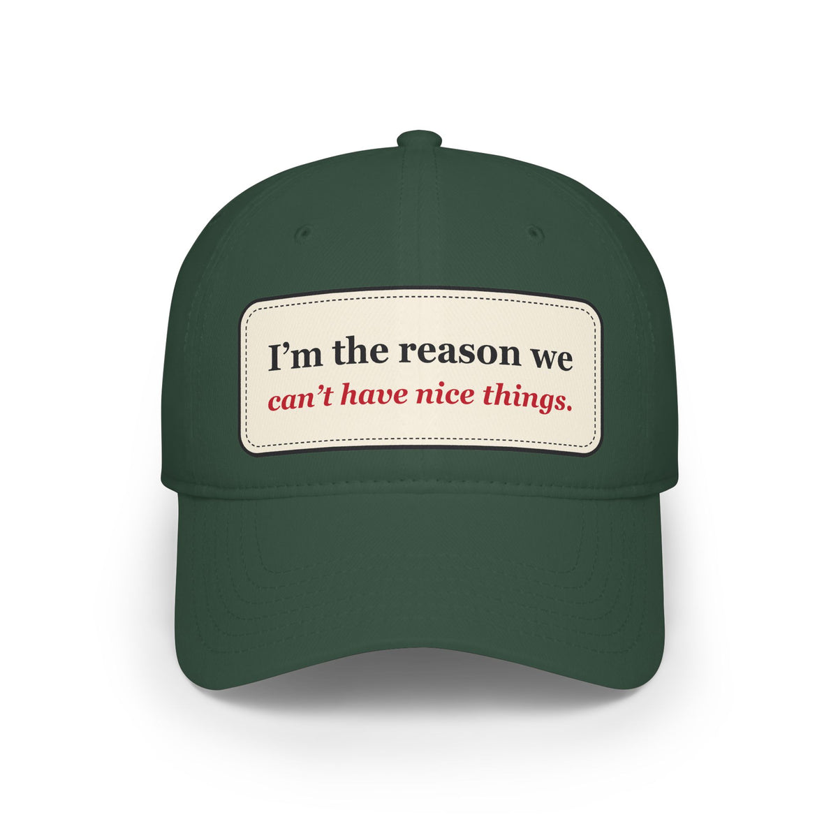 I’m the Reason We Can’t Have Nice Things Funny Low Profile Cap