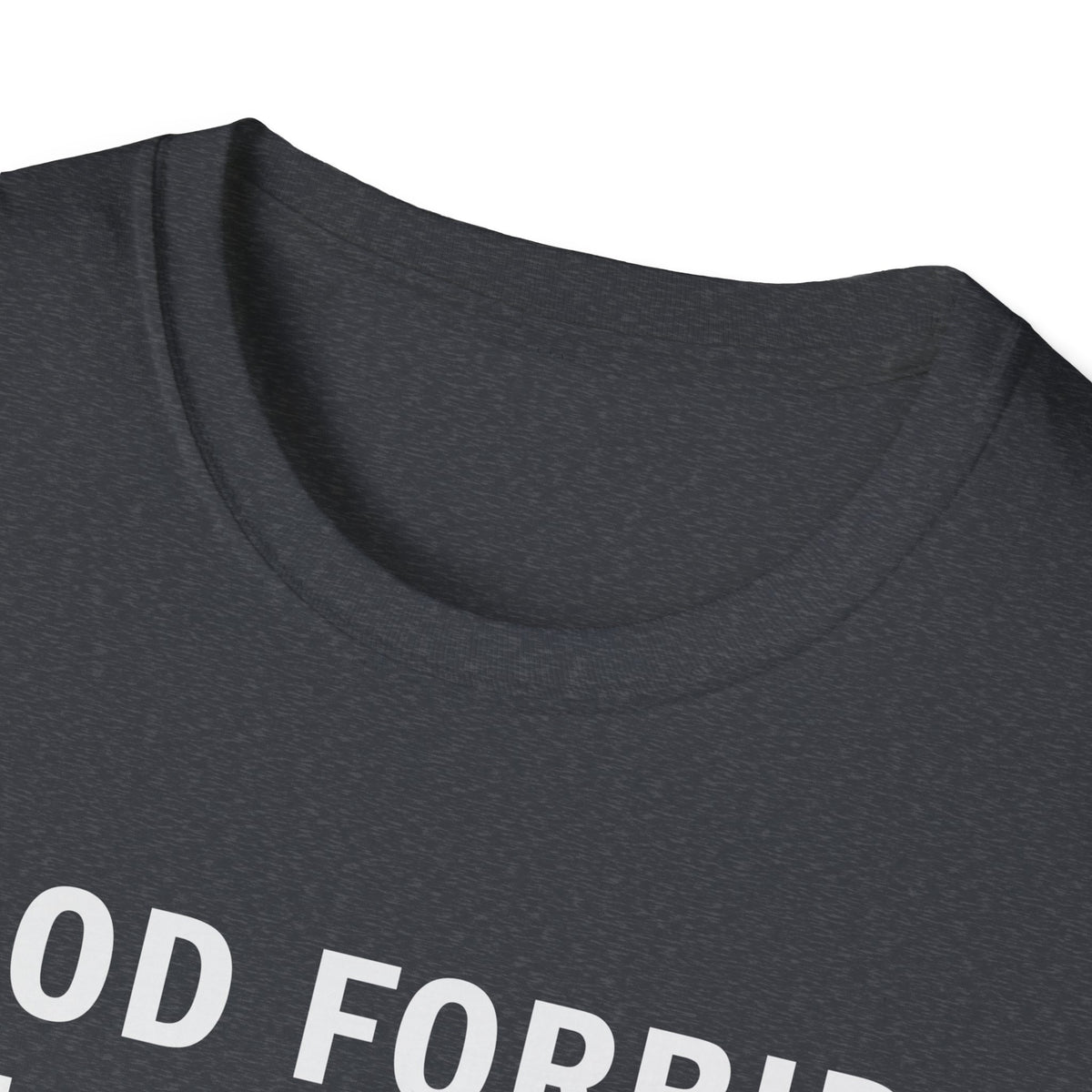 God Forbid I Commit a Little Tax Fraud Funny T-Shirt