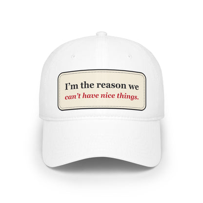I’m the Reason We Can’t Have Nice Things Funny Low Profile Cap