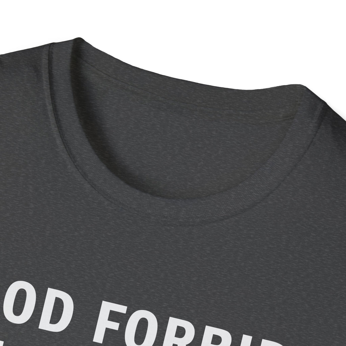 God Forbid I Commit a Little Tax Fraud Funny T-Shirt